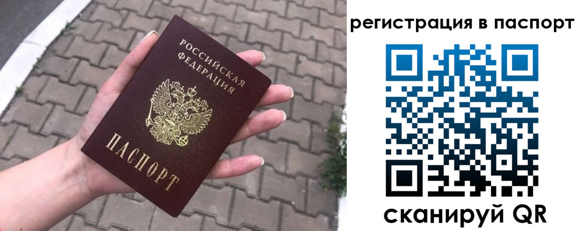 временная регистрация поиск в Лесном